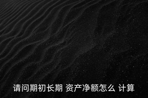 請(qǐng)問期初長期 資產(chǎn)凈額怎么 計(jì)算