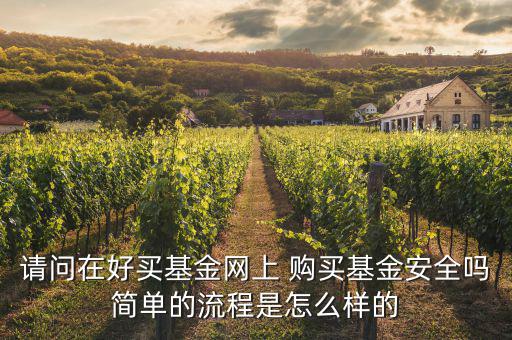 請問在好買基金網上 購買基金安全嗎簡單的流程是怎么樣的