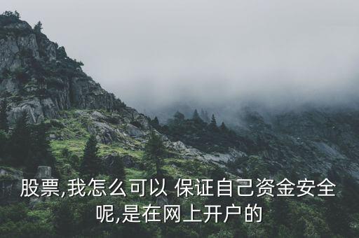 股票,我怎么可以 保證自己資金安全呢,是在網(wǎng)上開(kāi)戶(hù)的