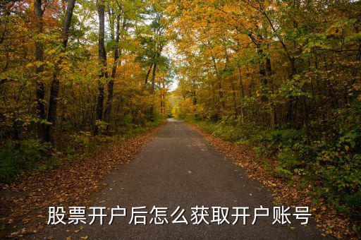 股票開(kāi)戶(hù)后怎么獲取開(kāi)戶(hù)賬號(hào)