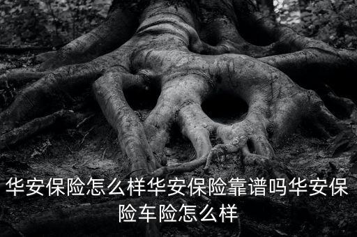 安華車(chē)輛保險(xiǎn)怎么樣,華安保險(xiǎn)理賠怎么樣?