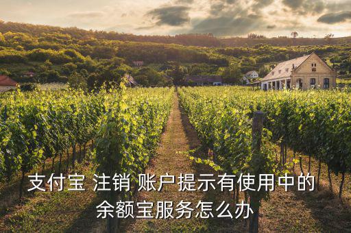 怎么注銷(xiāo)余額寶賬戶,余額如何關(guān)閉支付寶?一文看懂