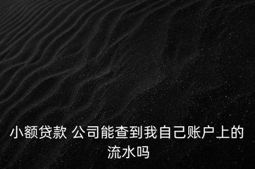 小額貸款 公司能查到我自己賬戶(hù)上的 流水嗎