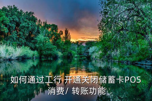 如何通過(guò)工行 開通關(guān)閉儲(chǔ)蓄卡POS 消費(fèi)/ 轉(zhuǎn)賬功能
