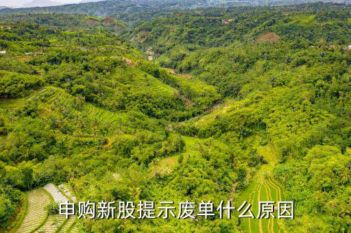 新股申購為什么是廢單，定價申購新股為什么總提示是廢單