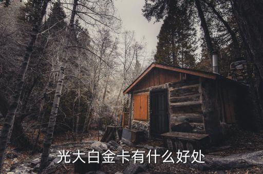 光大微稅聯(lián)白金卡有什么好處，光大銀行白金卡的好處我提供本人的100平以上的房產(chǎn)證和作為法人