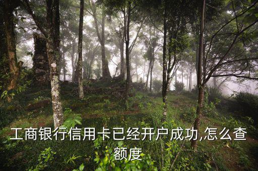 工商銀行信用卡已經(jīng)開(kāi)戶成功,怎么查額度