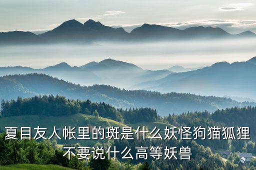 什么是棄風限電，什么是理想非極化電極