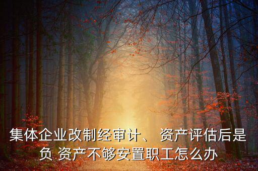 集體企業(yè)改制經(jīng)審計(jì)、 資產(chǎn)評(píng)估后是負(fù) 資產(chǎn)不夠安置職工怎么辦