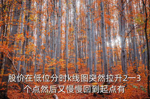 低位反彈之后加速拉升什么情況，股價在低位分時k線圖突然拉升2一3個點然后又慢慢回到起點有