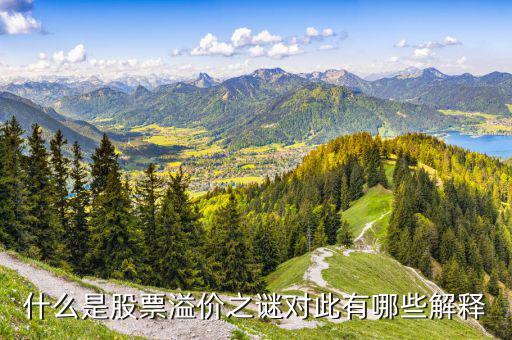 股票溢價是什么意思，什么是股票溢價之謎對此有哪些解釋