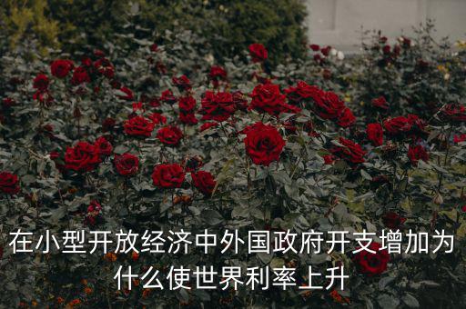 在小型開放經(jīng)濟(jì)中外國(guó)政府開支增加為什么使世界利率上升