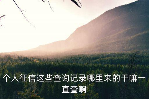 有些人大量查詢征信干什么，查征信有啥用