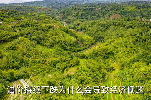 油價(jià)持續(xù)下跌為什么會導(dǎo)致經(jīng)濟(jì)低迷