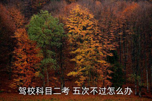 駕?？颇慷?五次不過(guò)怎么辦