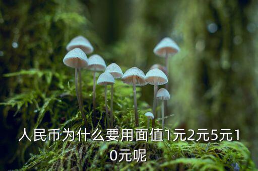 為什么人民幣面值，人民幣為什么要用面值1元2元5元10元呢