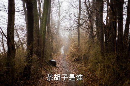 文惠卡是什么，是什么意思能詳細(xì)點(diǎn)嗎