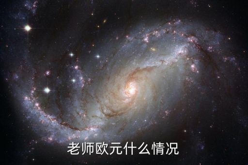 歐元國家是什么意思，老師歐元什么情況