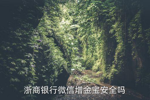 浙商銀行增金寶什么情況，浙商銀行增金寶安全嗎