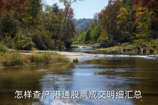 滬港通數(shù)據怎么分析,交易所網站添新目錄查詢上海港通交易數(shù)據