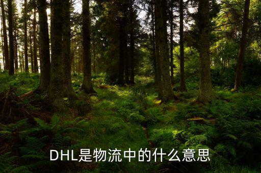 xpo物流什么意思，DHL是物流中的什么意思