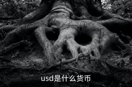 usd什么貨幣，什么是USD