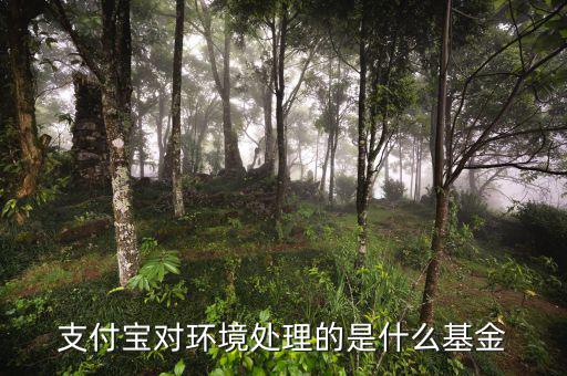 支付寶中的基金是什么，支付寶對(duì)環(huán)境處理的是什么基金
