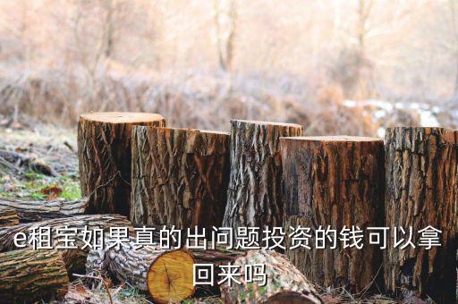 e租寶注冊(cè)有什么風(fēng)險(xiǎn)，朋友讓我給他注冊(cè)個(gè)e租包賬號(hào)安全嗎