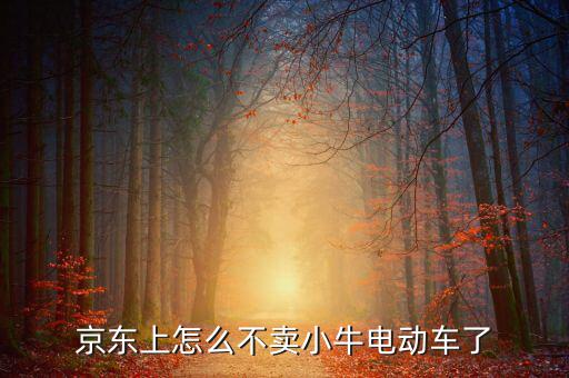 京東什么時候開放小牛，京東上怎么不賣小牛電動車了