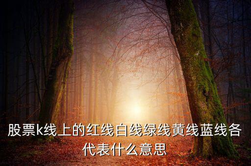 地圖綠線紅線代表什么，手機(jī)百度地圖路線中有紅色綠色藍(lán)色等不同的顏色代表什么