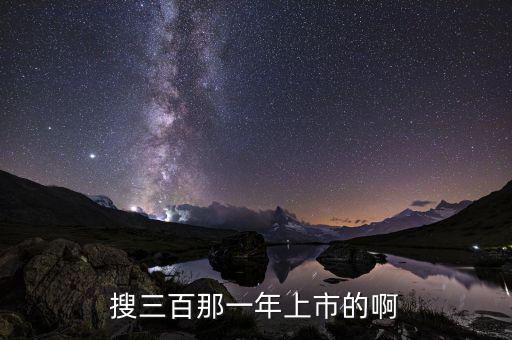 搜三百什么時間上市，搜三百那一年上市的啊