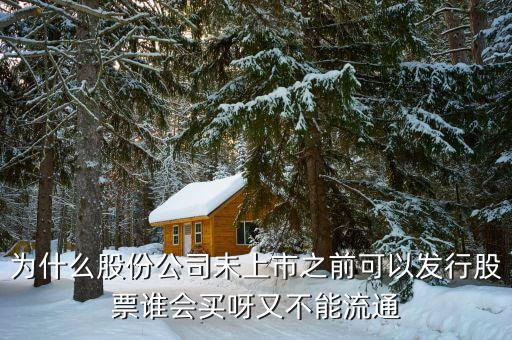 為什么發(fā)行股票就有人買，股票到底是什么為什么有那么多人買