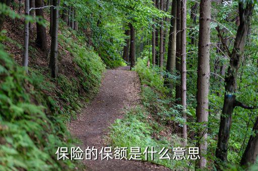 保險(xiǎn)保額是什么意思，保險(xiǎn)里的保額是啥意思