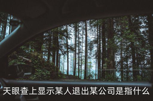 什么是退出類平臺公司，天眼查上顯示某人退出某公司是指什么