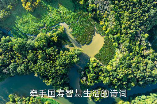 牽手國壽成就未來什么意思，國壽是什么意思