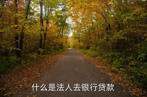 什么是法人銀行，中國(guó)農(nóng)業(yè)銀行是什么法人