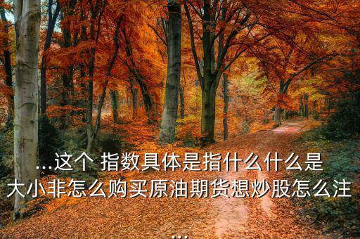 ...這個(gè) 指數(shù)具體是指什么什么是大小非怎么購(gòu)買(mǎi)原油期貨想炒股怎么注...