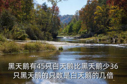 什么是黑天鵝，黑天鵝有45只白天鵝比黑天鵝少36只黑天鵝的只數(shù)是白天鵝的幾倍