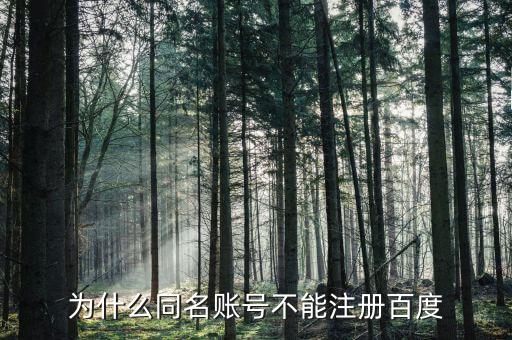 什么是同名賬戶，神武游戲說存在同名賬號是什么意思