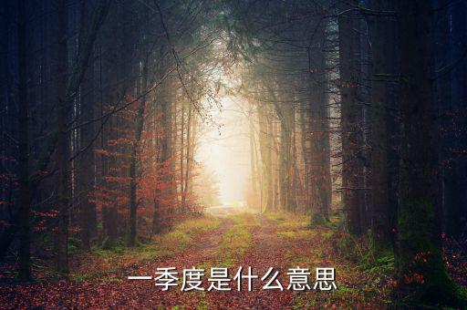 每一季度是什么意思，每季度什么意思