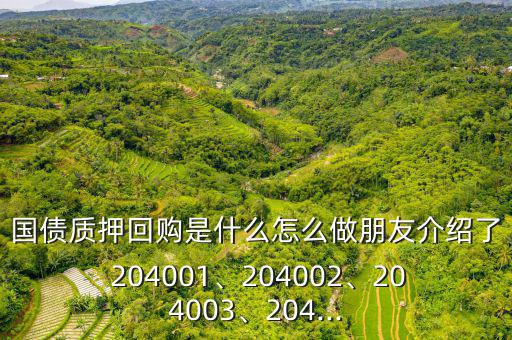 國債質(zhì)押回購是什么怎么做朋友介紹了 204001、204002、204003、204...