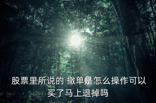  股票里所說(shuō)的 撤單是怎么操作可以買了馬上退掉嗎