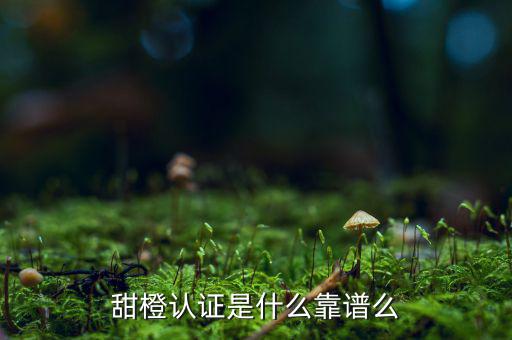 甜橙金融公司是什么，便捷的網(wǎng)貸理財(cái)企業(yè)是什么