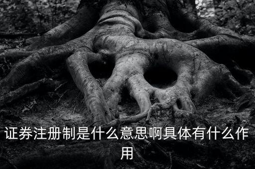 證券注冊制什么意思，證券注冊制是什么意思啊具體有什么作用