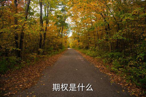 股票期權(quán)是什么，期權(quán)和股權(quán)有什么本質(zhì)區(qū)別嗎