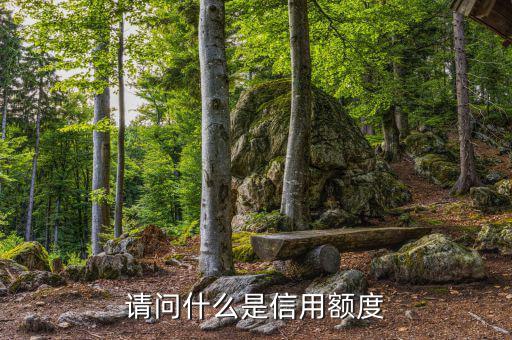 信用額度是什么意思，信用額度是什么意思