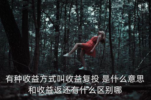 按月復(fù)投是什么意思，本息復(fù)投是什么意思