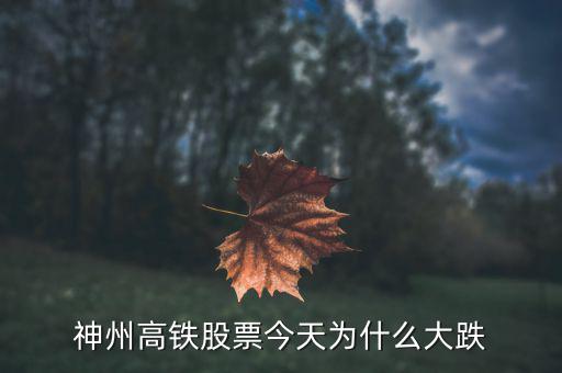 神洲高鐵為什么暴跌，神州高鐵為什么跌31
