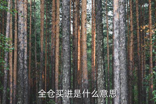 全倉(cāng)買(mǎi)入是什么意思，掛高全倉(cāng)買(mǎi)入什么意思