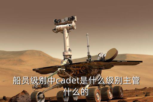 中船總經(jīng)理什么級(jí)別，中國船舶總公司總經(jīng)理啥級(jí)別